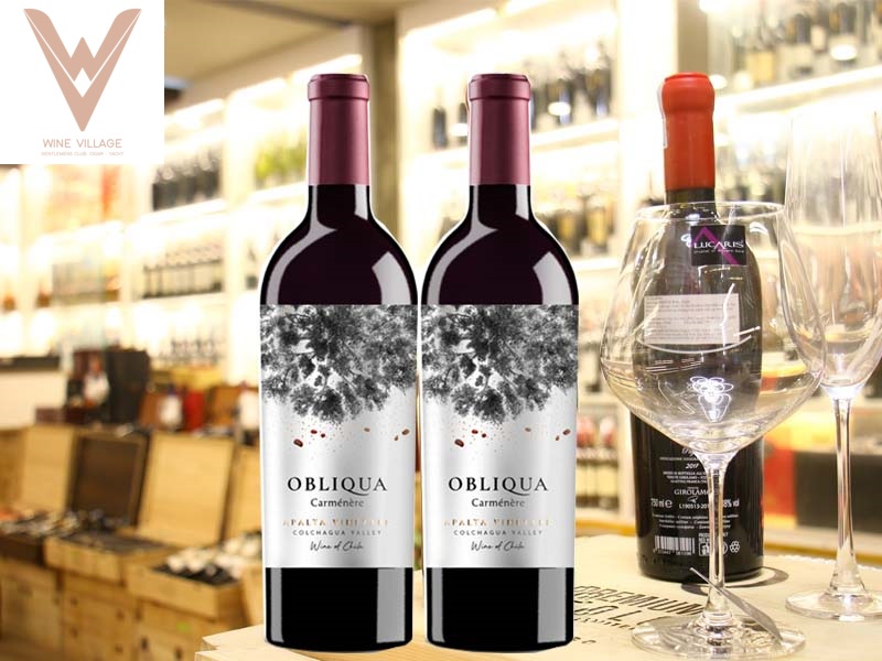 rượu Vang đỏ Chile Obliqua Carmenere Apalta Vineyard tại sài gòn